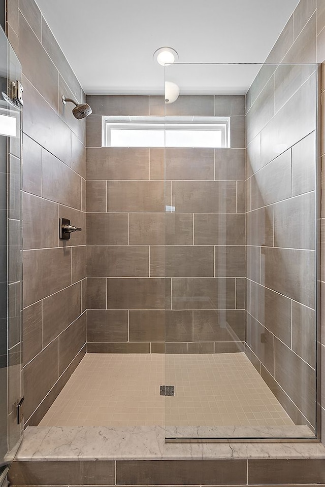 bathroom featuring plenty of natural light and a shower with shower door