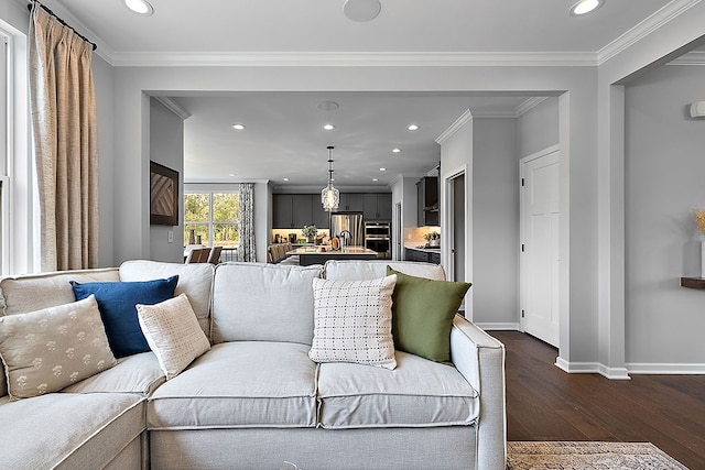 living room featuring dark hardwood / wood-style floors and ornamental molding