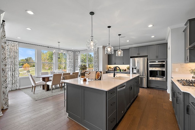 kitchen with appliances with stainless steel finishes, a kitchen island with sink, sink, a notable chandelier, and gray cabinets