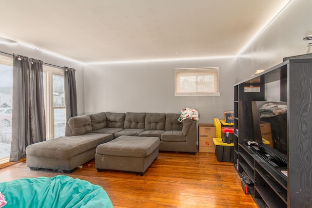 living room featuring hardwood / wood-style flooring