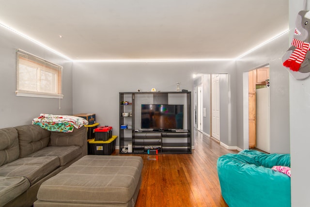 living room with hardwood / wood-style floors