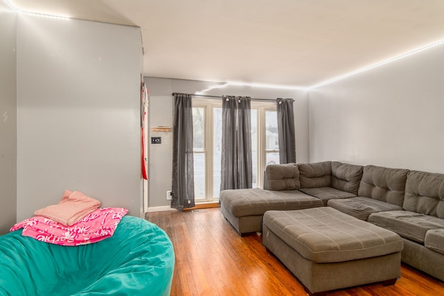 living room with wood-type flooring