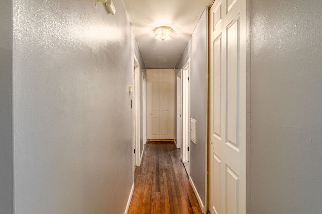 hall featuring dark hardwood / wood-style floors