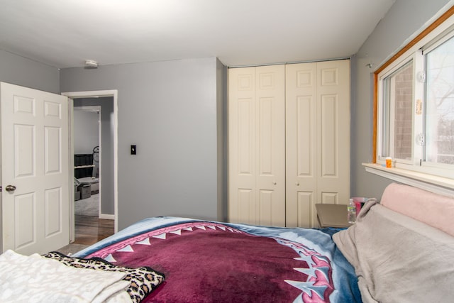 bedroom with hardwood / wood-style floors and a closet