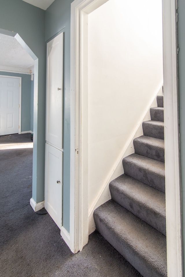 stairway with carpet