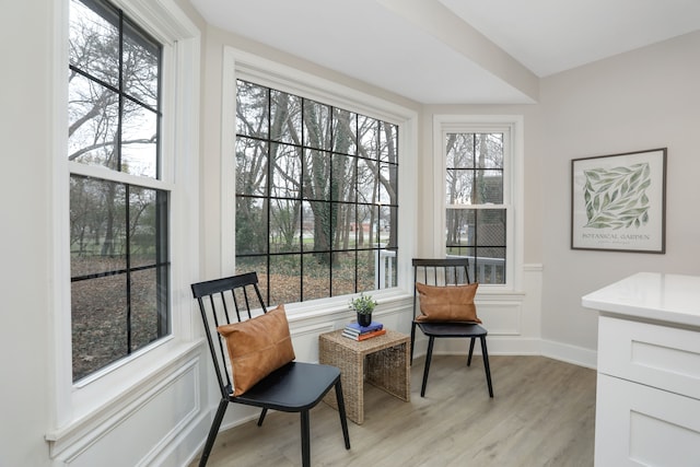 sitting room featuring light hardwood / wood-style floors and a healthy amount of sunlight