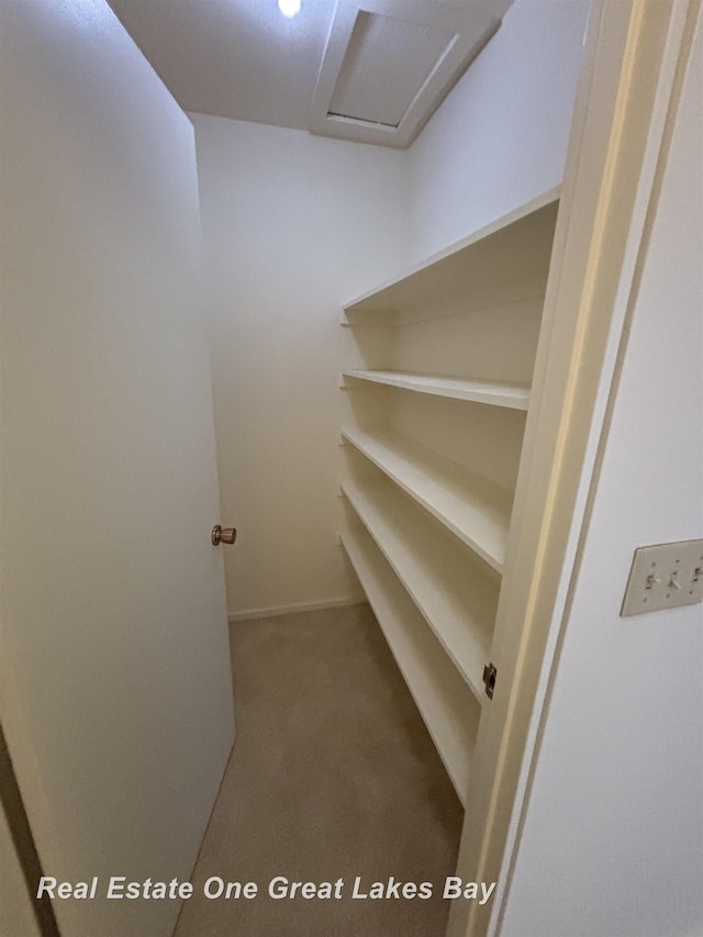 walk in closet with carpet