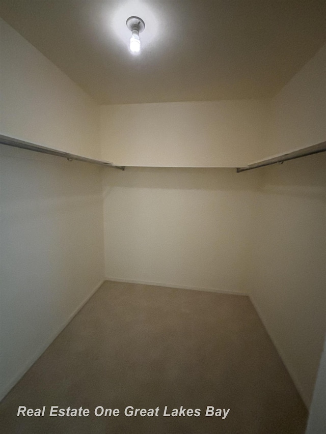 walk in closet with carpet flooring