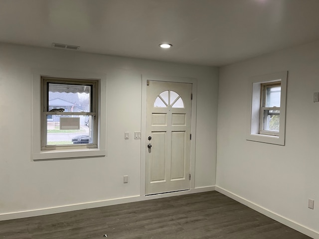 entrance foyer featuring dark wood-type flooring