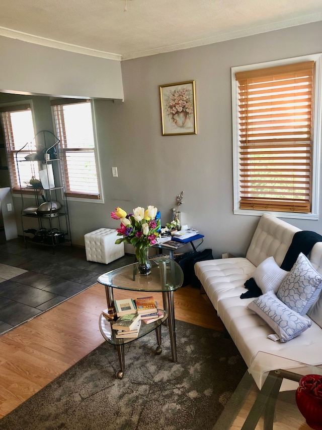 living room featuring dark hardwood / wood-style floors and crown molding