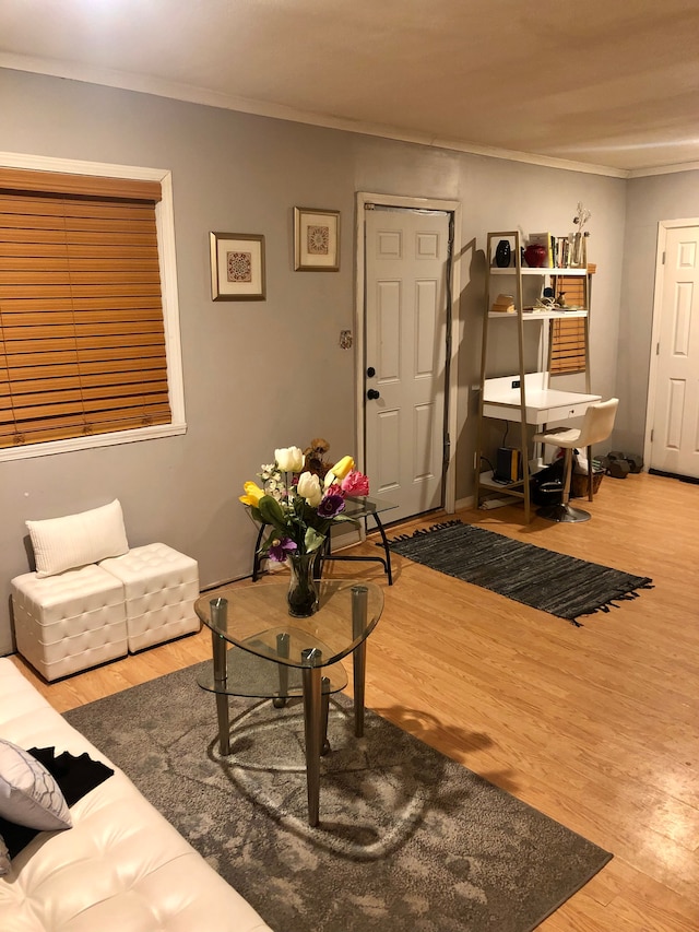 living room featuring hardwood / wood-style flooring