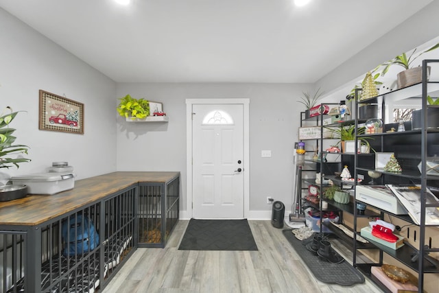 foyer entrance featuring hardwood / wood-style flooring