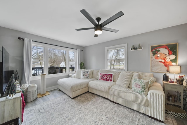 living room featuring a wealth of natural light, ceiling fan, and light wood-type flooring