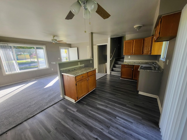 kitchen with dark hardwood / wood-style flooring, ceiling fan, and sink