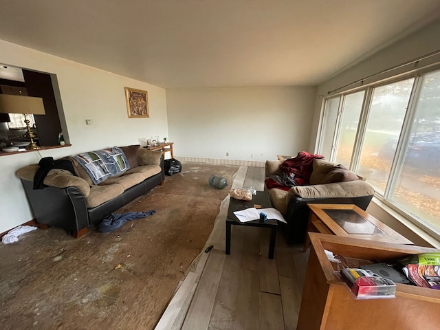 living room with wood-type flooring