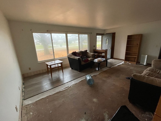 living room featuring radiator and hardwood / wood-style floors