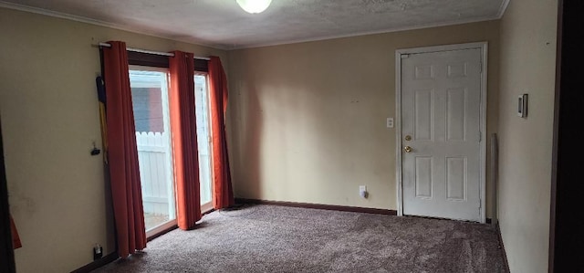 spare room with carpet flooring, a textured ceiling, and ornamental molding