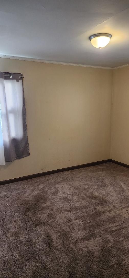 empty room with carpet floors and ornamental molding