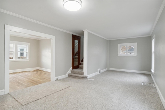 carpeted empty room featuring crown molding