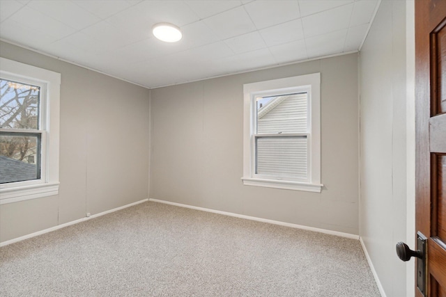 empty room featuring carpet floors