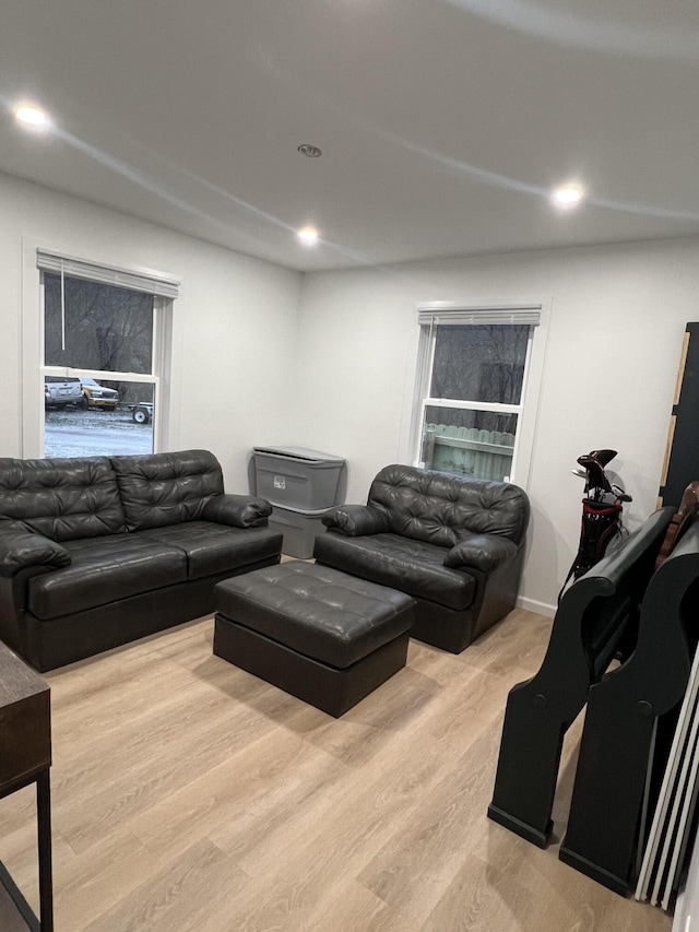 living room with light hardwood / wood-style flooring