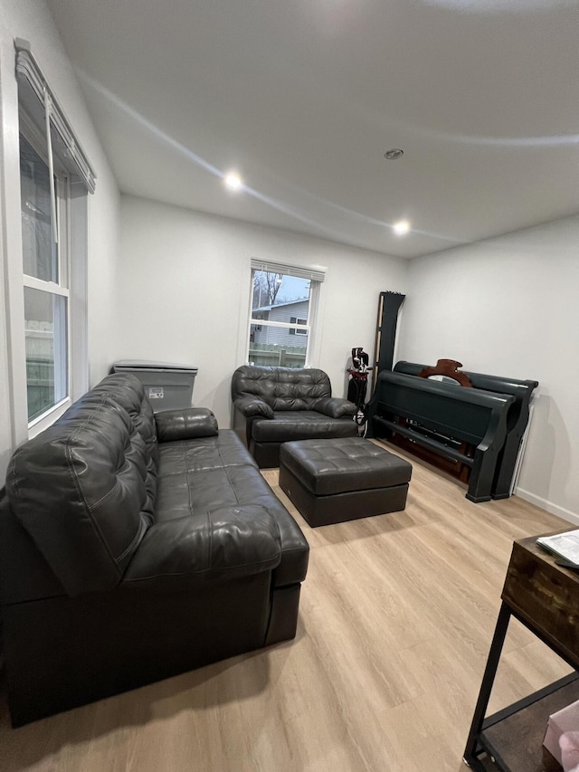 living room with hardwood / wood-style flooring