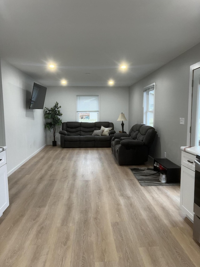 living room featuring light hardwood / wood-style floors and a wealth of natural light