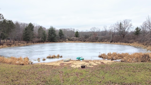 10921 N Pine Grove Ln, Bitely, MI 49309 - water view featuring a heavily wooded area