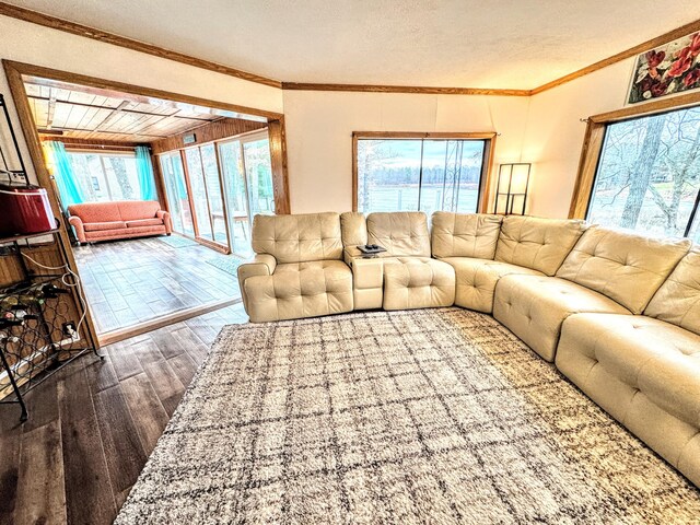 10921 N Pine Grove Ln, Bitely, MI 49309 - living area with dark wood-style flooring, crown molding, and a textured ceiling