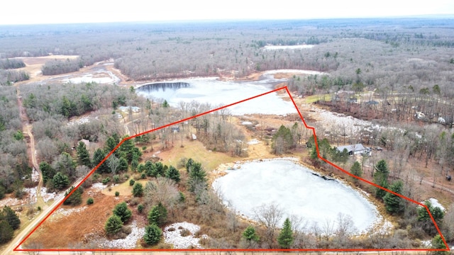 10921 N Pine Grove Ln, Bitely, MI 49309 - view of property location with property boundaries highlighted and a nearby body of water