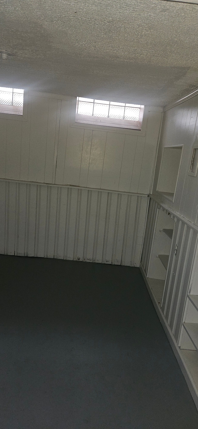 basement with wood walls and a textured ceiling