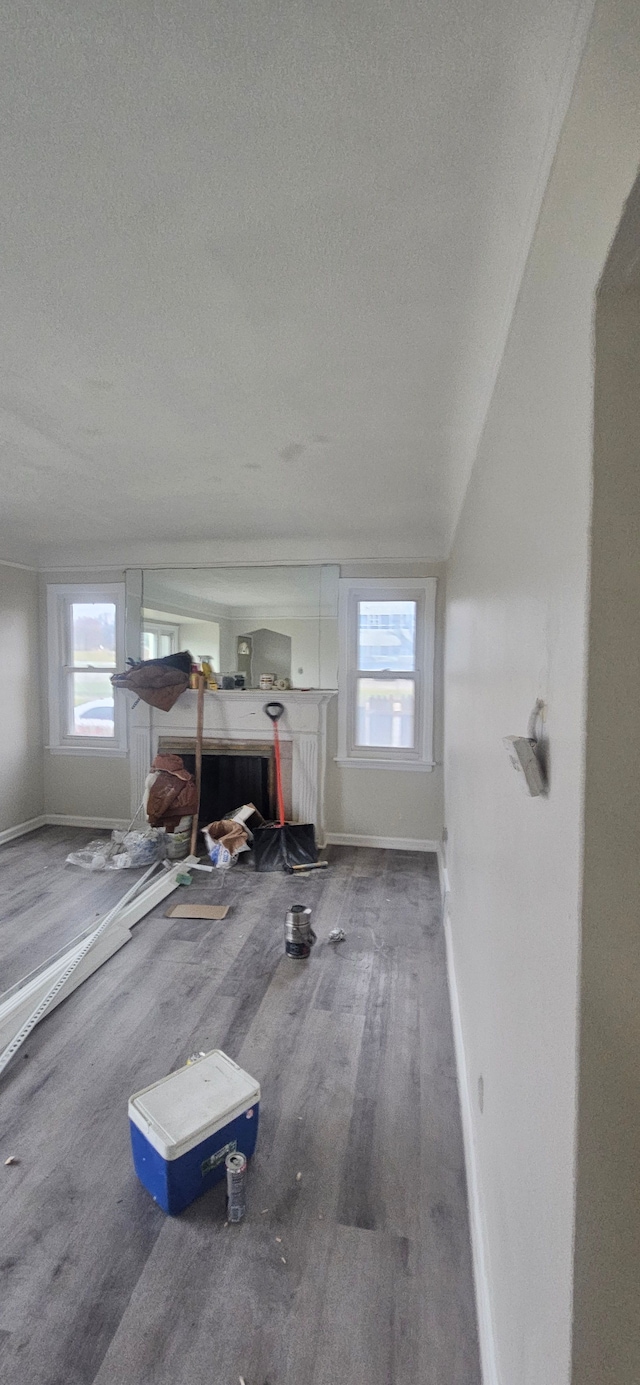 interior space featuring multiple windows, wood-type flooring, and a textured ceiling