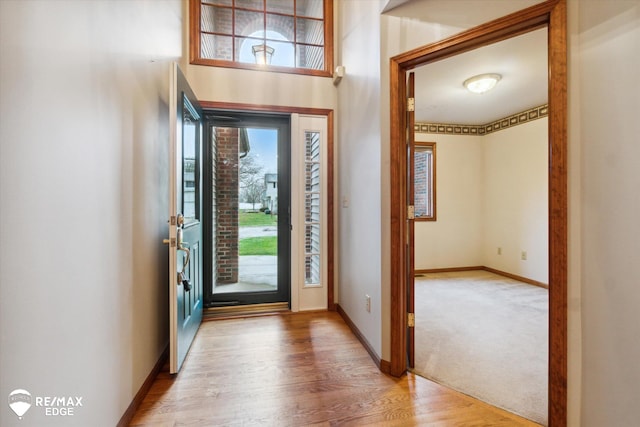 entrance foyer featuring wood-type flooring