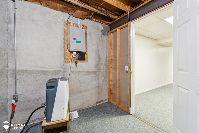 basement with carpet and electric panel