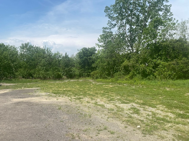0 S Lapeer Rd, Lapeer, MI 48446 - photo 2