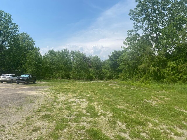 0 S Lapeer Rd, Lapeer, MI 48446 - photo 5
