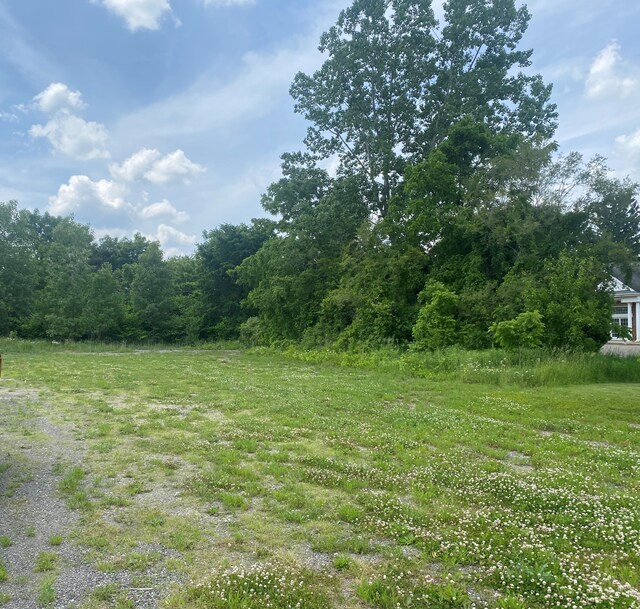 0 S Lapeer Rd, Lapeer, MI 48446 - photo 4