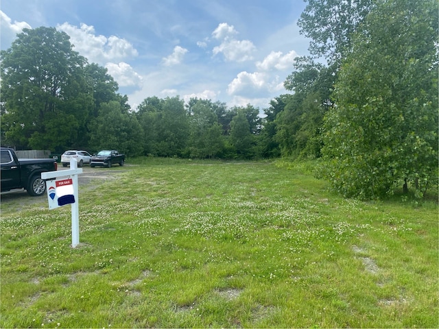 0 S Lapeer Rd, Lapeer, MI 48446 - photo 1