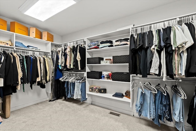 spacious closet with light carpet