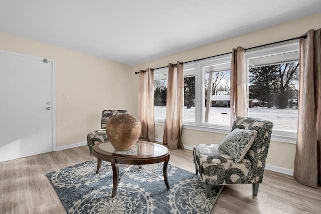 sitting room with plenty of natural light and light hardwood / wood-style flooring