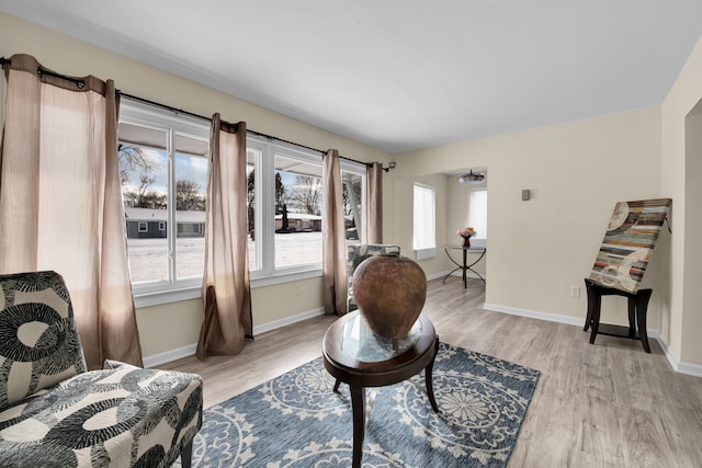 living area with light hardwood / wood-style floors