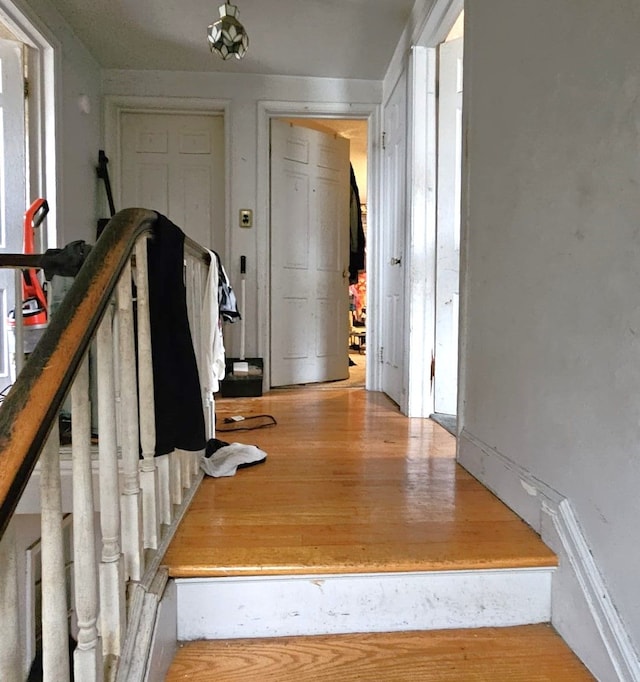 interior space with hardwood / wood-style floors