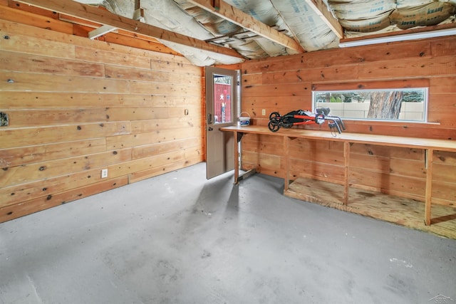 basement with wood walls