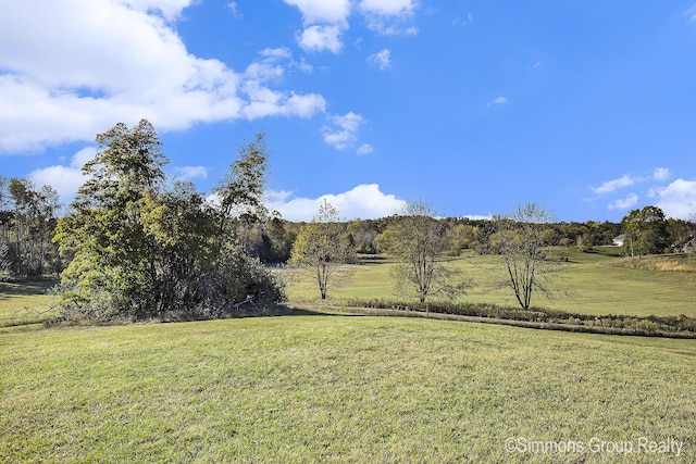 view of yard featuring a rural view