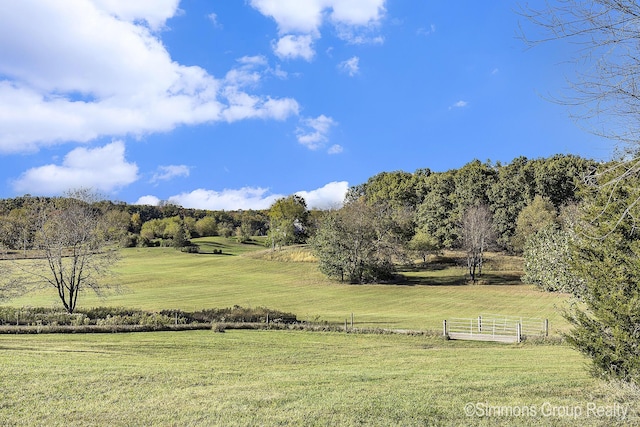 view of yard with a rural view