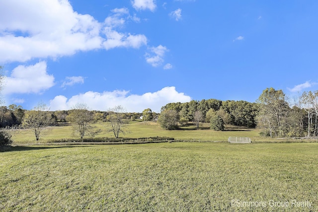 view of yard featuring a rural view