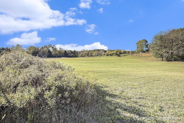 view of local wilderness with a rural view