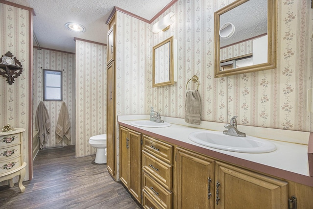 bathroom with vanity, wood-type flooring, a textured ceiling, and toilet