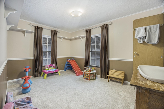 recreation room with a textured ceiling, light colored carpet, crown molding, and sink