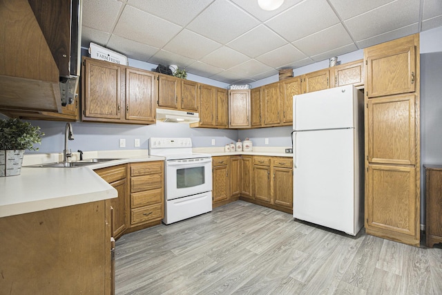 kitchen featuring white appliances, light hardwood / wood-style floors, a drop ceiling, and sink